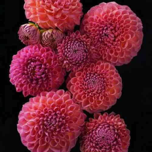 غفار حیدری فراق یار